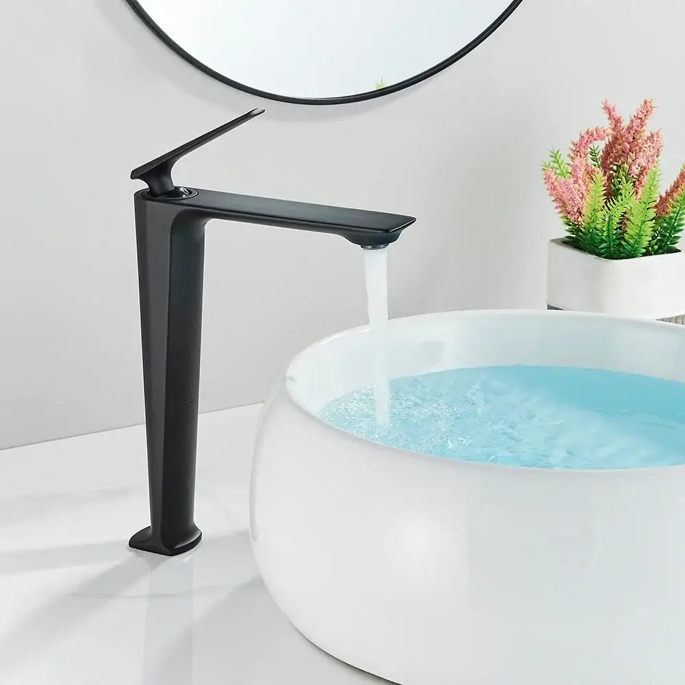 Matte Black Faucet Combo