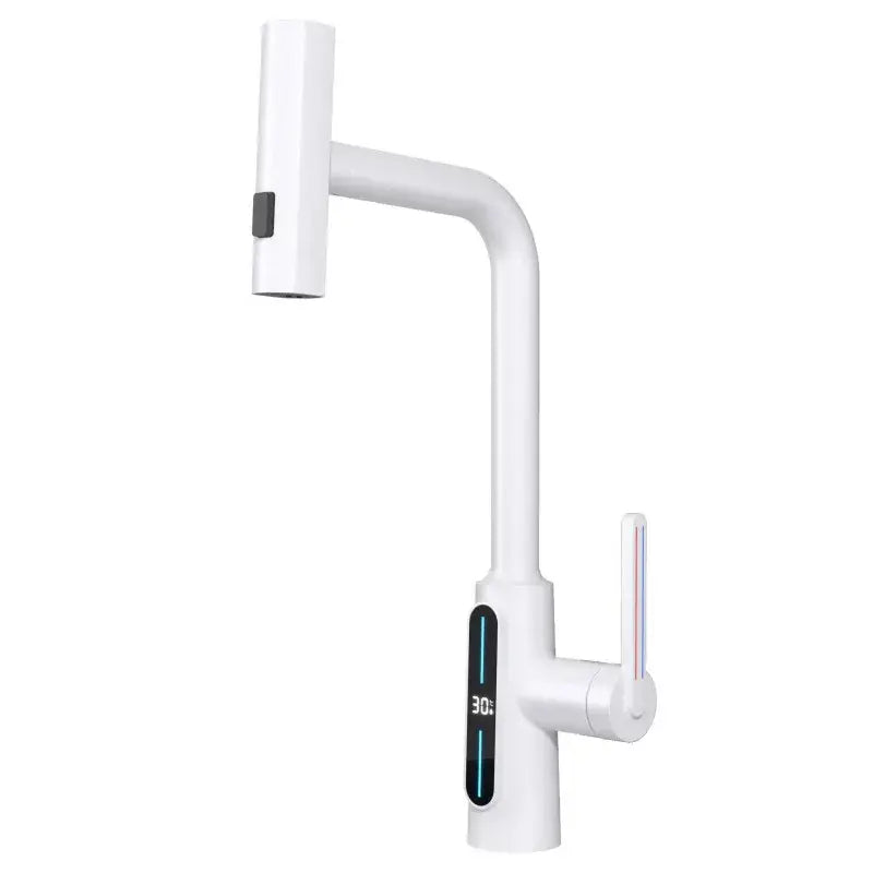 Black Brass Pull-Out Faucet with Retractable Spout