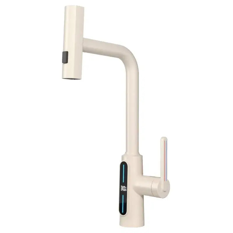 Black Brass Pull-Out Faucet with Retractable Spout
