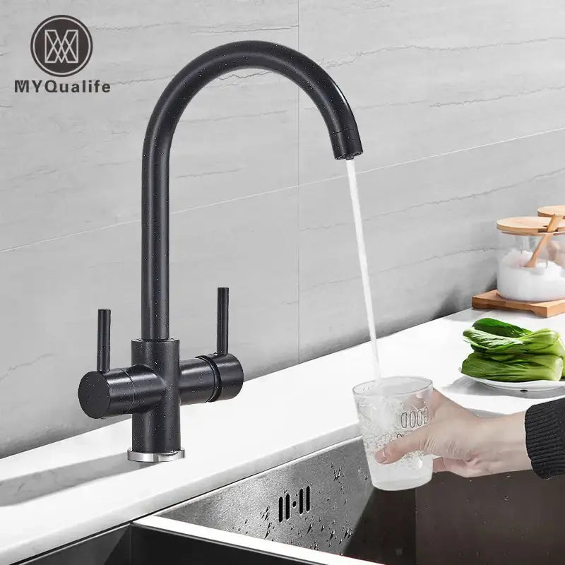 Black Brass Dual Handle Faucet