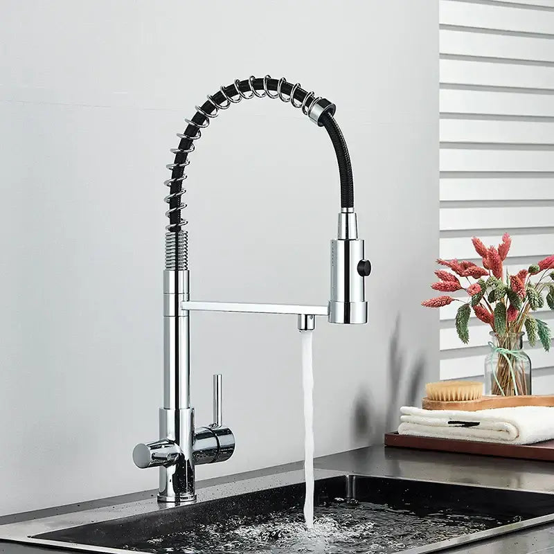 Black Gold Filter Faucet
