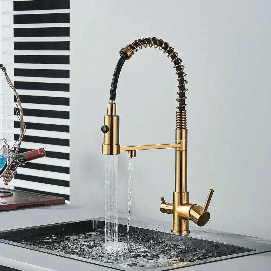 Black Gold Filter Faucet