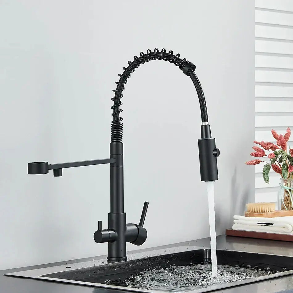 Black Gold Filter Faucet