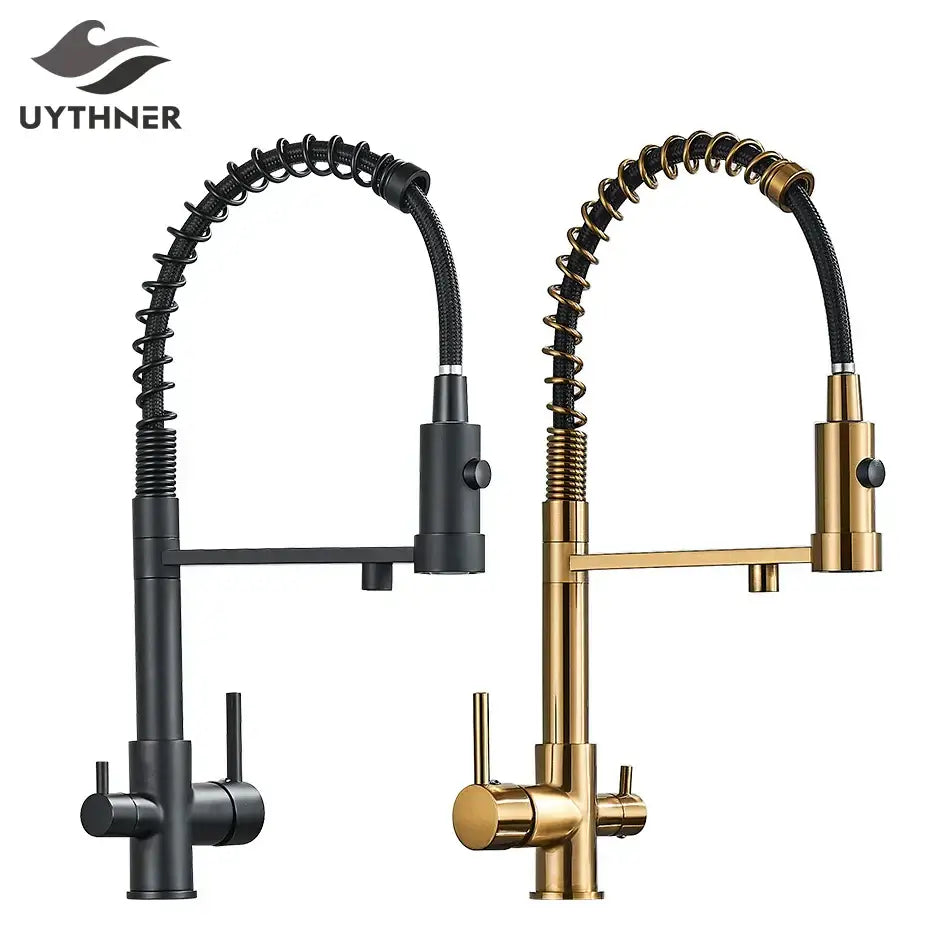 Black Gold Filter Faucet