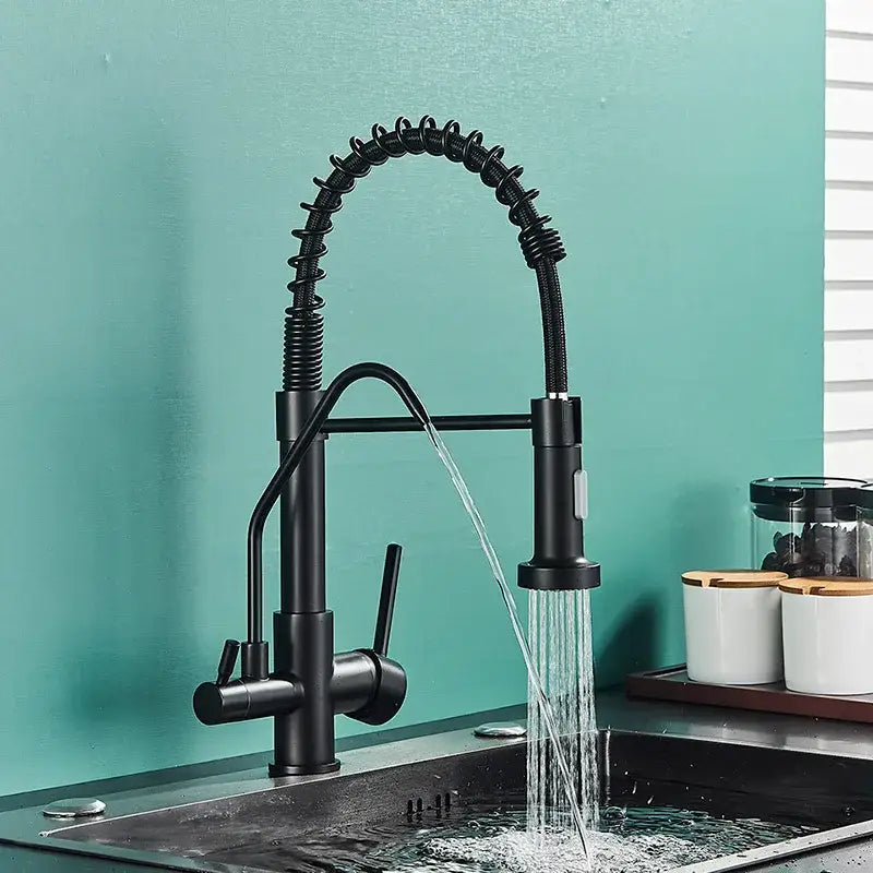 Black Dual Handle Kitchen Faucet