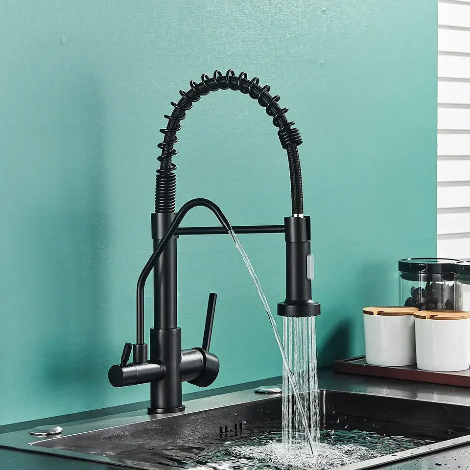 Black Dual Handle Kitchen Faucet