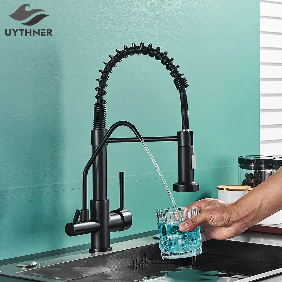 Black Dual Handle Kitchen Faucet