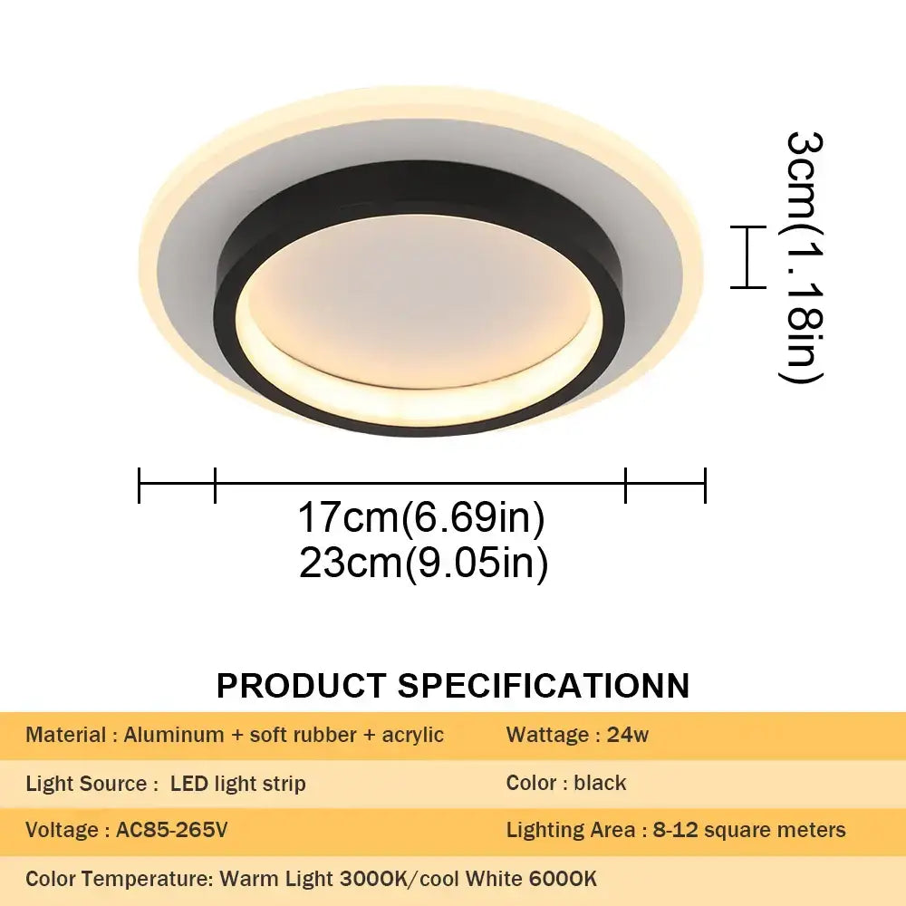 Black Acrylic Ceiling Lamp