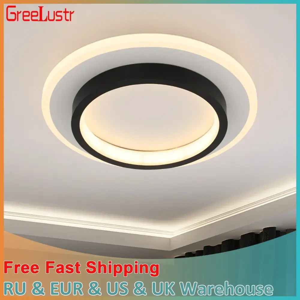 Black Acrylic Ceiling Lamp