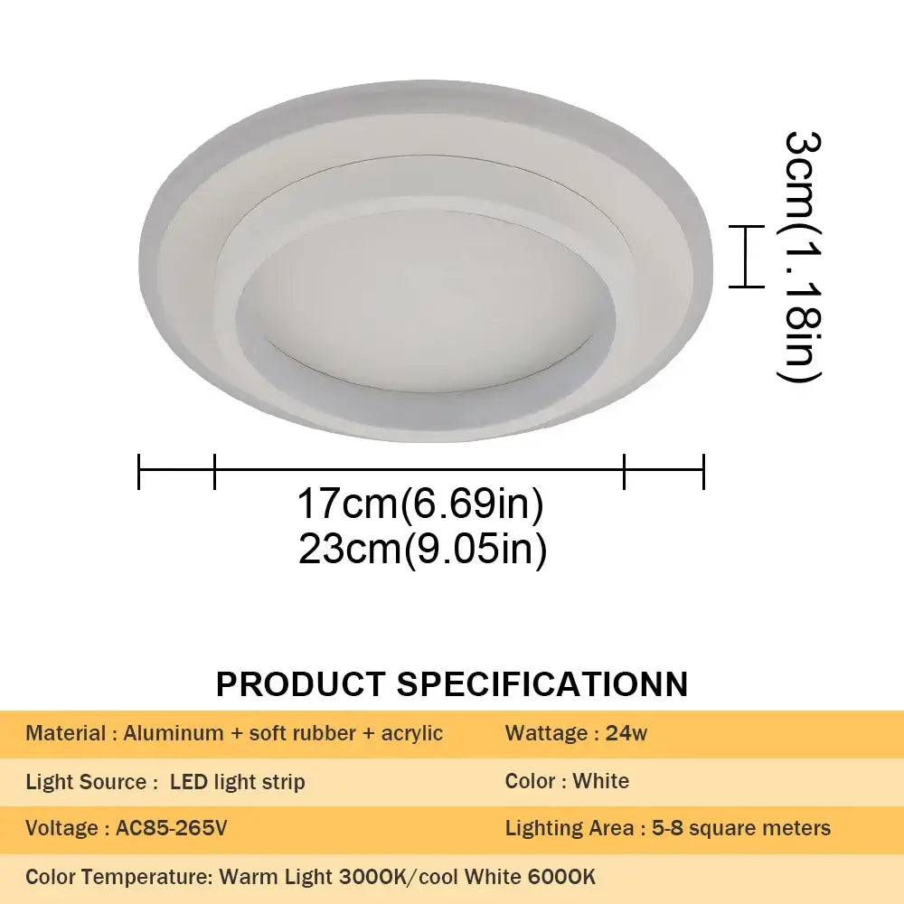Black Acrylic Ceiling Lamp