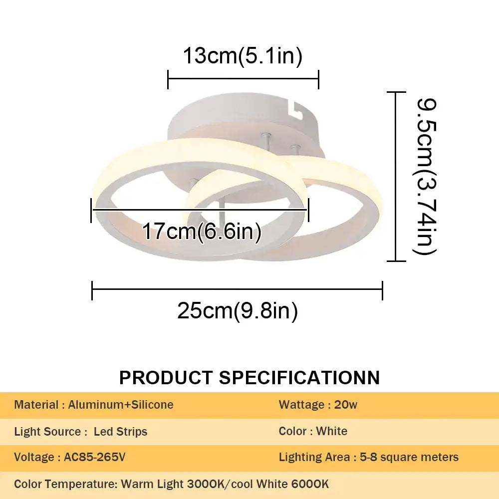 Black Acrylic Ceiling Lamp