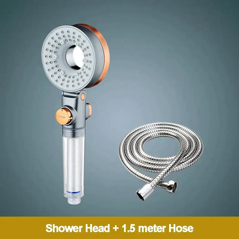 Silver Dual Shower Head