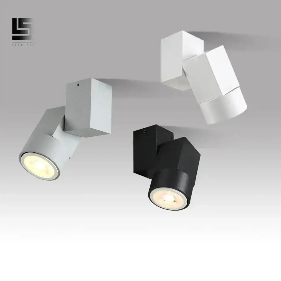 White Adjustable Downlight Fixture