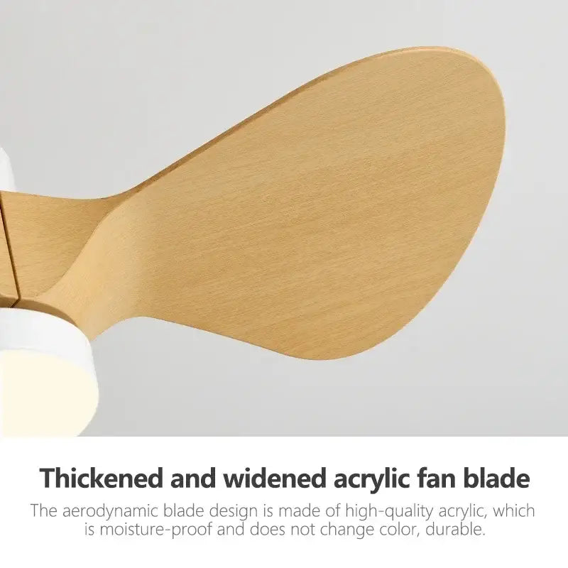 White Wood Mini Fan
