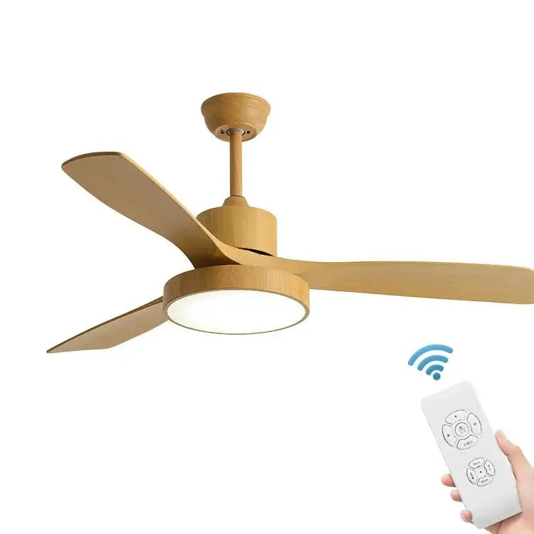 Black Ceiling Fan Light