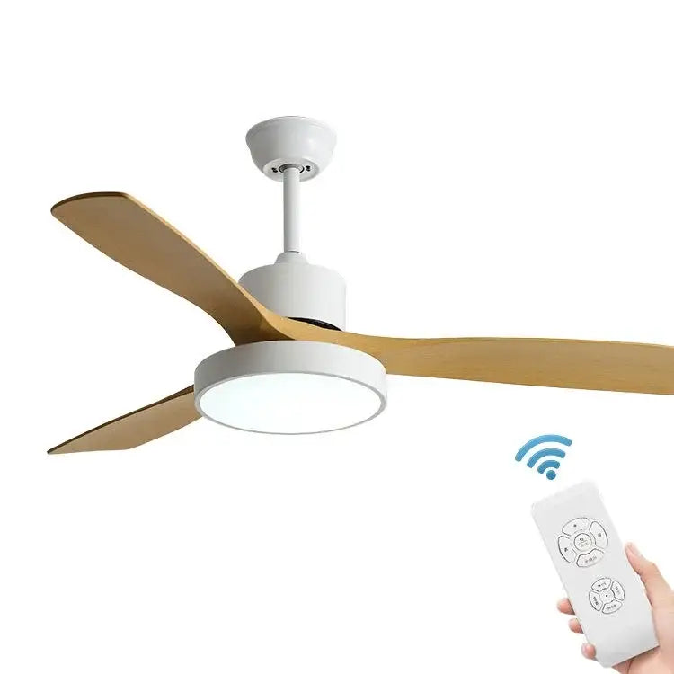 Black Ceiling Fan Light
