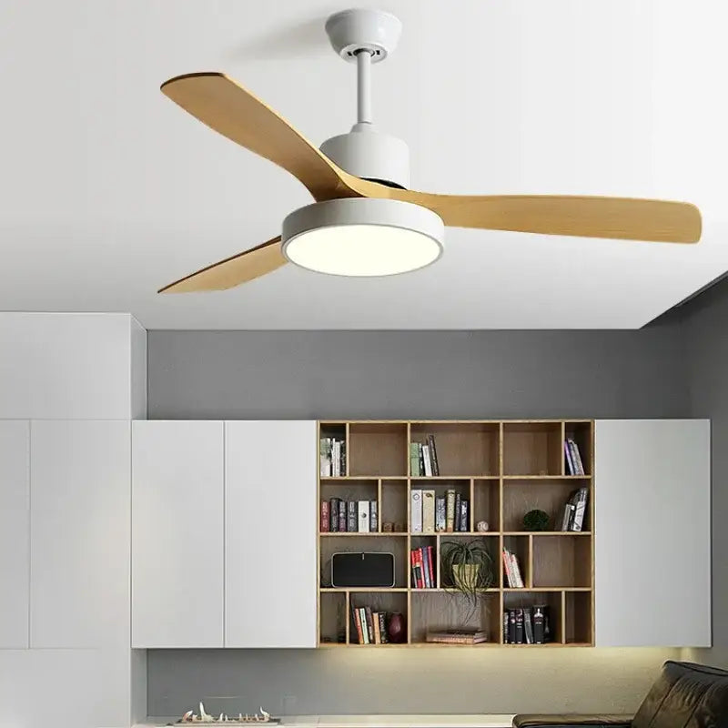 Black Ceiling Fan Light