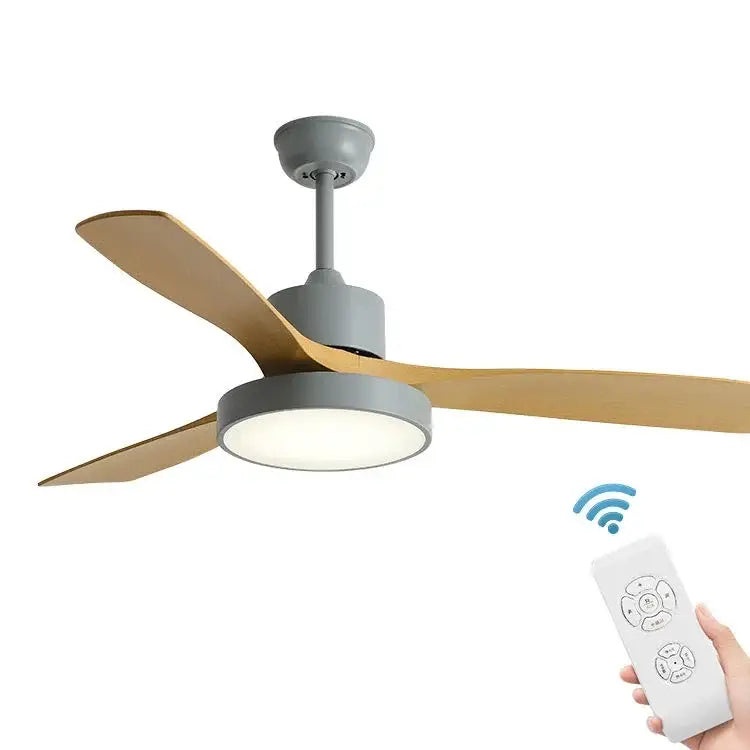 Black Ceiling Fan Light