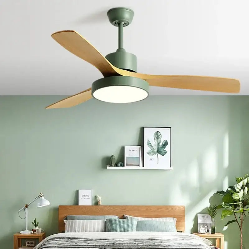 Black Ceiling Fan Light