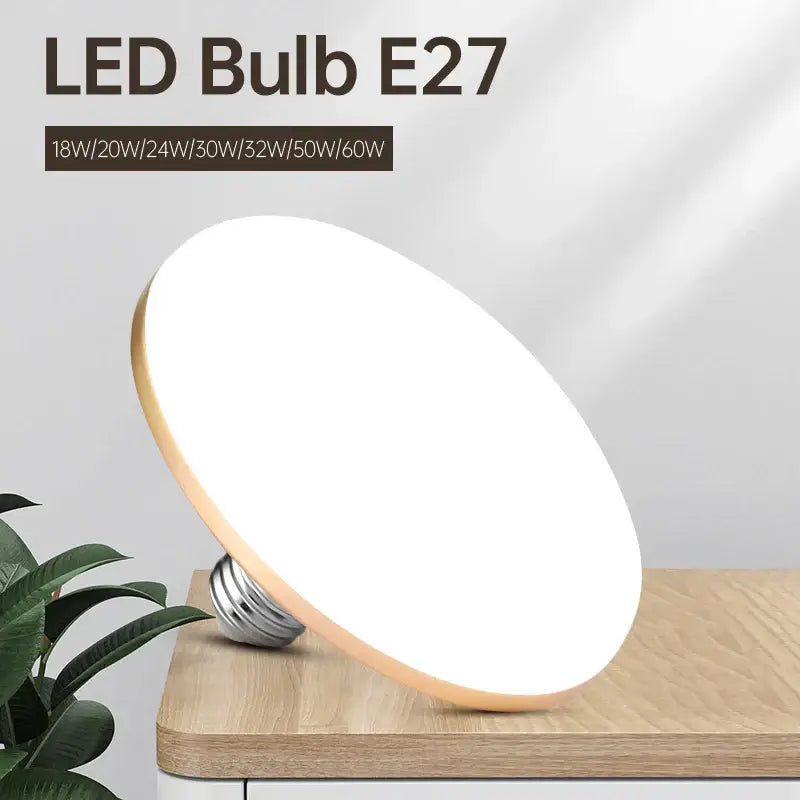White LED Ceiling Light