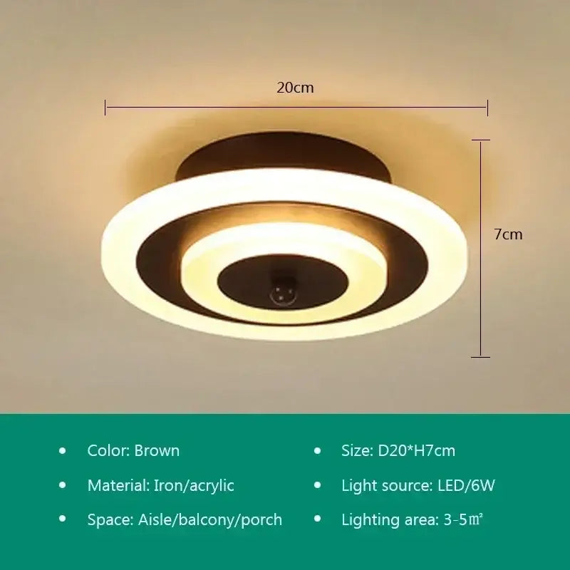 Gold Circular Ceiling Lamp