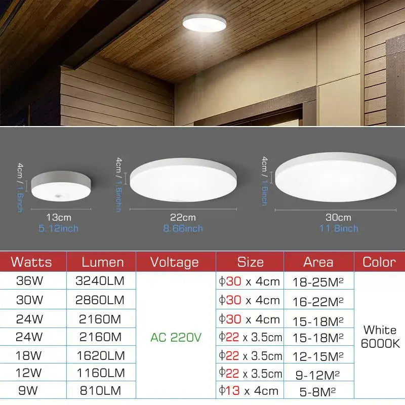 White Motion Sensor Ceiling Lamp