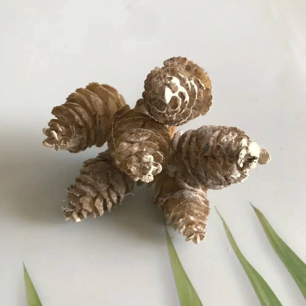 Pastel Pinecone Flower Wreath