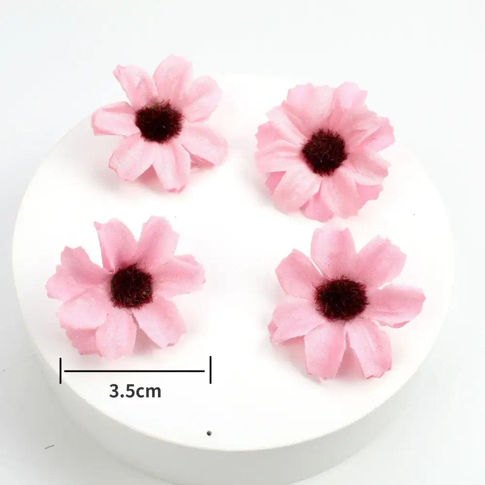 Pink Lavender Daisy Flowers