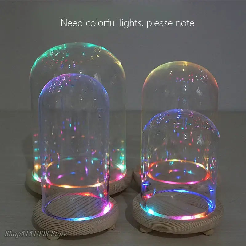 Glass Dome Night Light