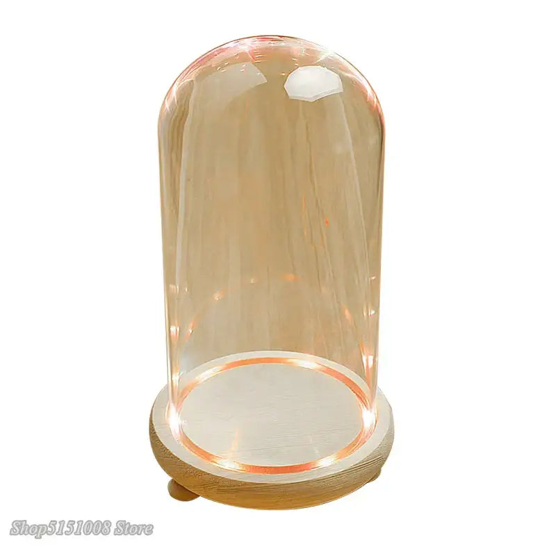 Glass Dome Night Light