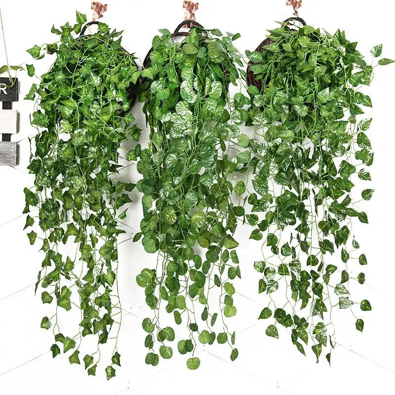 Green Ivy Hanging Basket