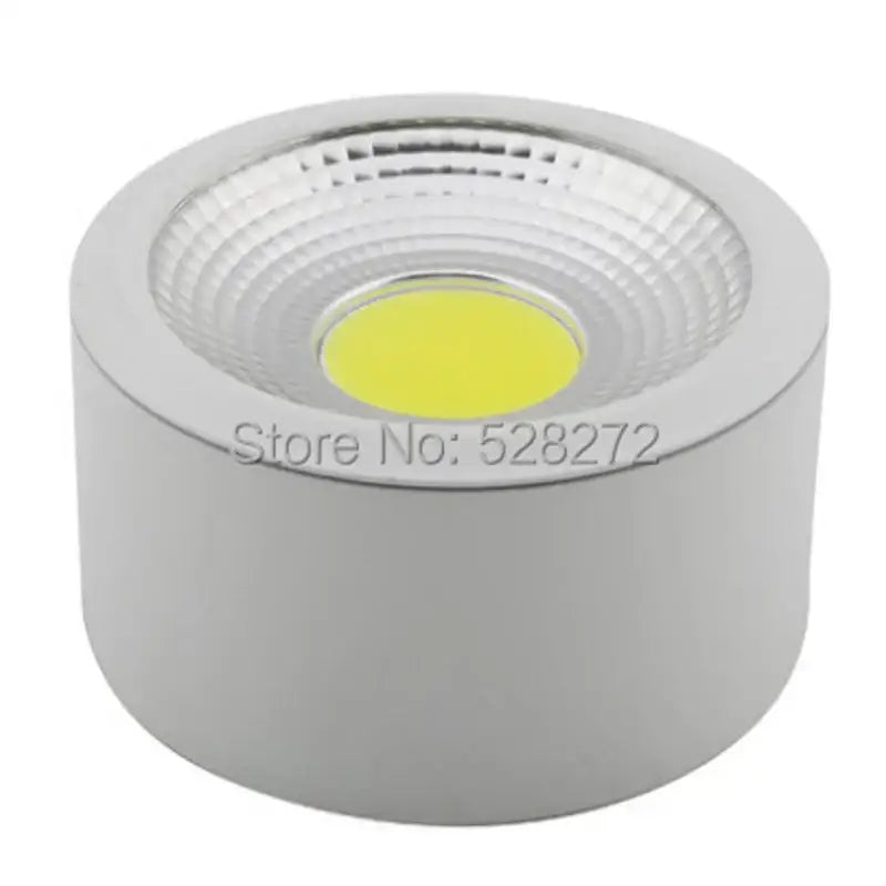 Silver LED Downlight Fixture