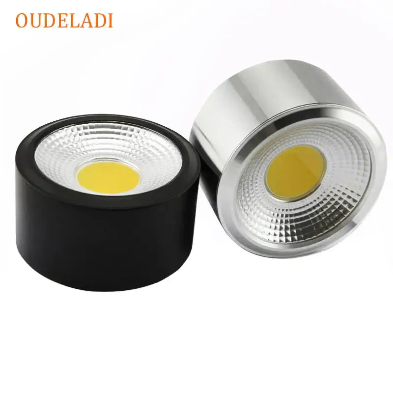 Silver LED Downlight Fixture