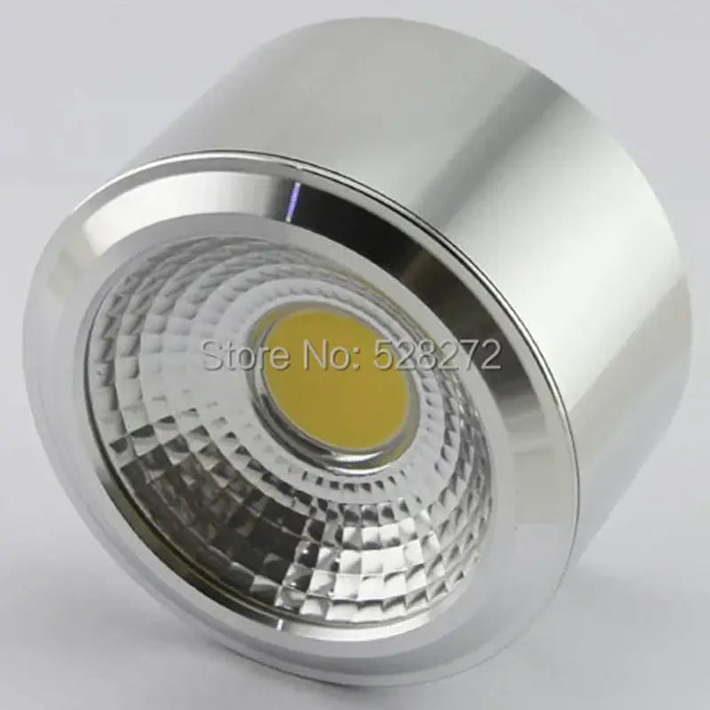 Silver LED Downlight Fixture
