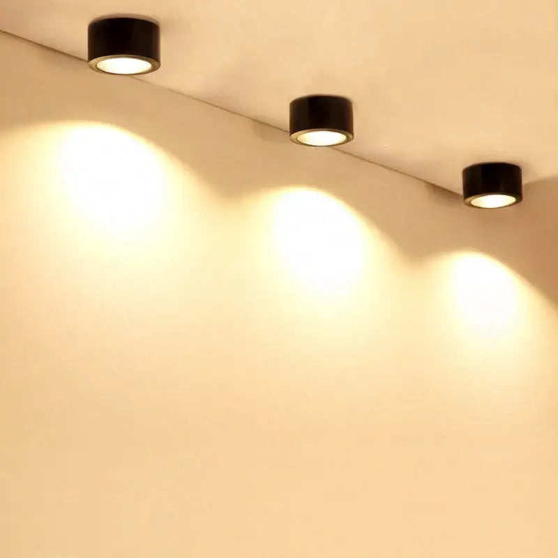 Silver LED Downlight Fixture