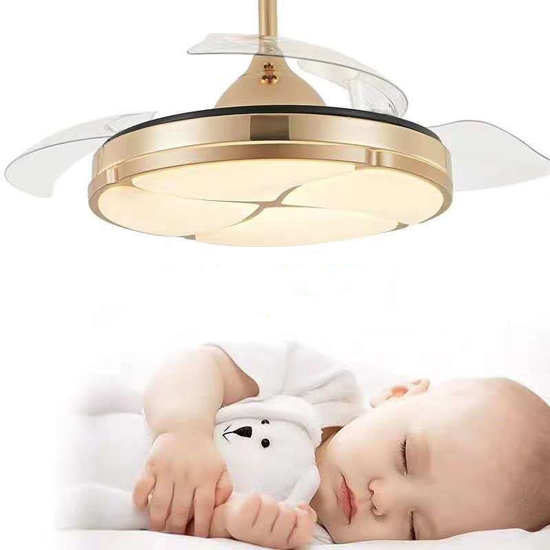 Bronze Modern Fan Lamp