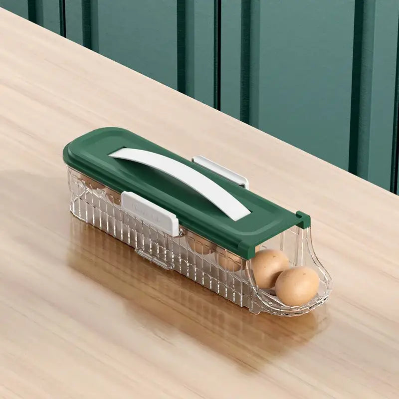 Green Plastic Egg Organizer