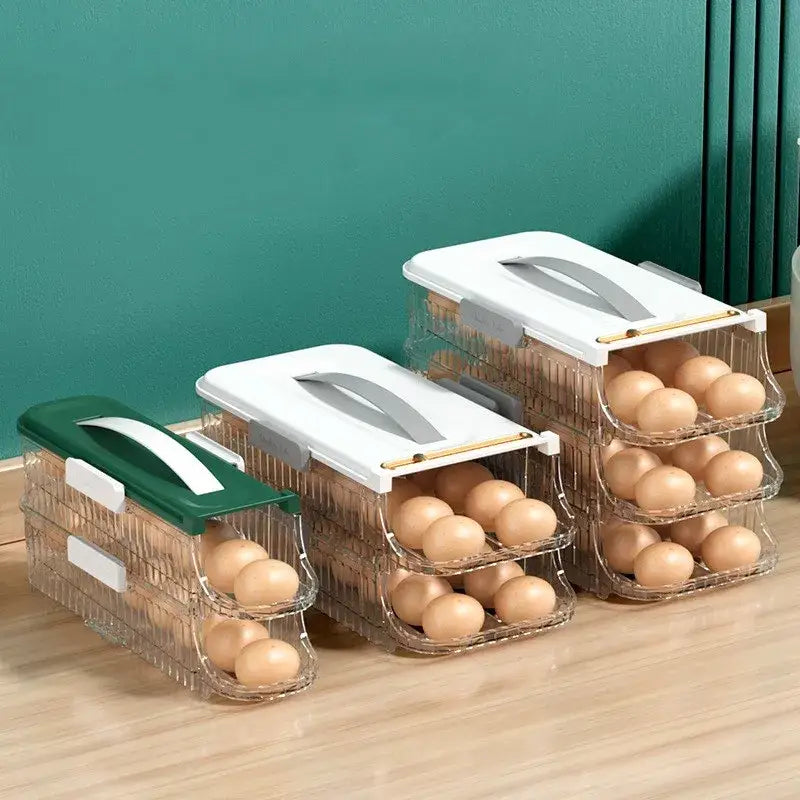 Green Plastic Egg Organizer